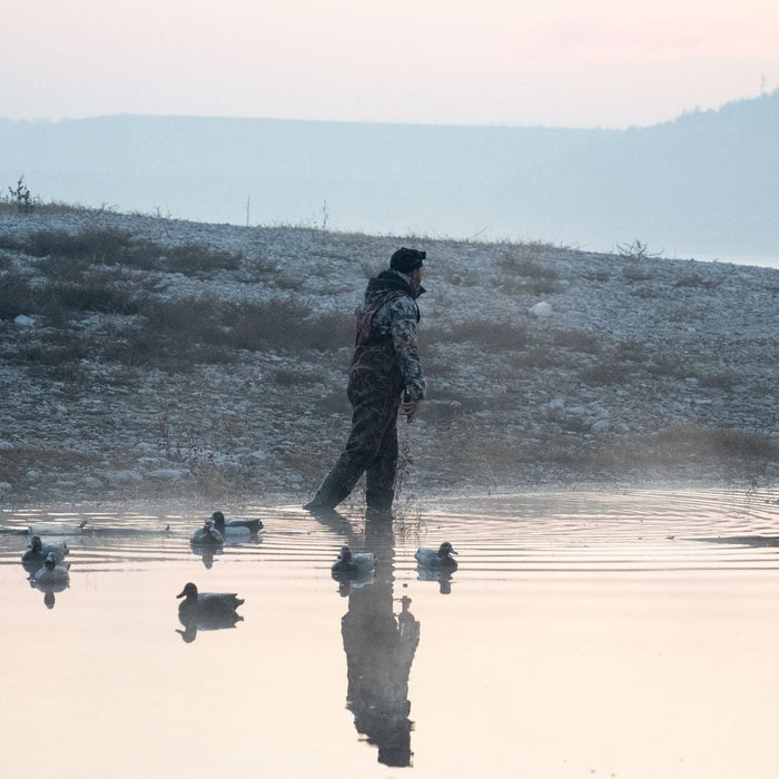 Duck Decoy