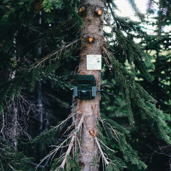 Motion Activated Trail Camera Setup for Waterfowl Scouting