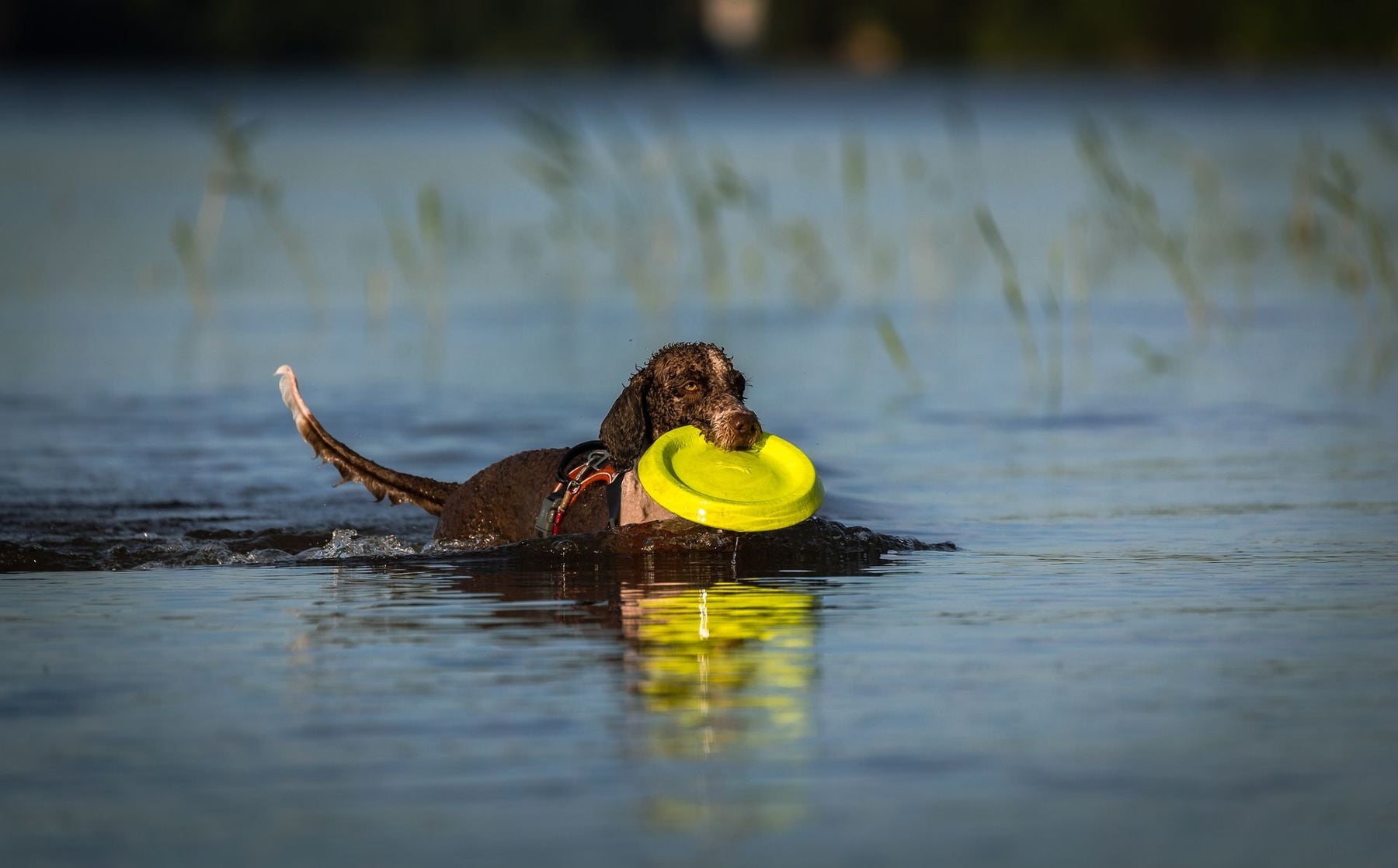 Safe Water Exits and Shoreline Re-Entry: Prevent Slips and Re-Board Safely