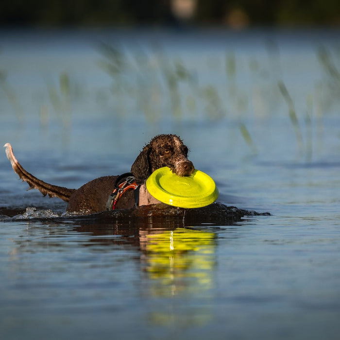 Safe Water Exits and Shoreline Re-Entry: Prevent Slips and Re-Board Safely