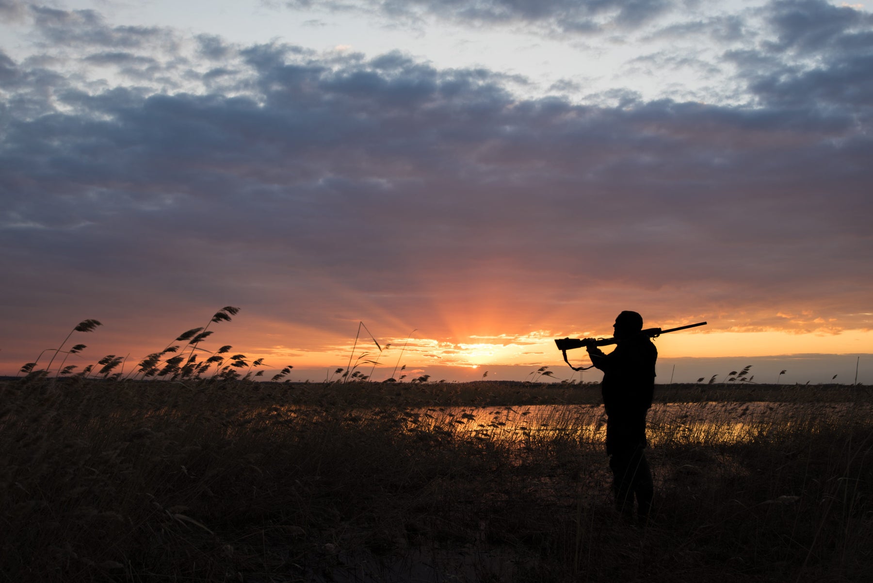 Duck Hunting Information