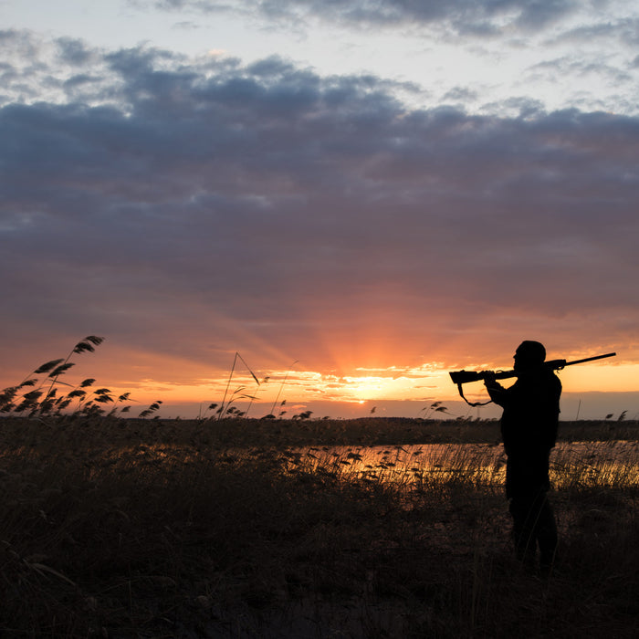 Duck Hunting Information