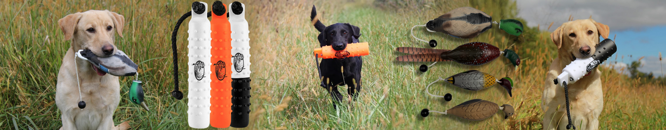 Training Bumpers & Dummies
