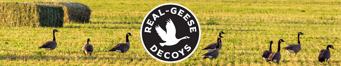 Real-Geese