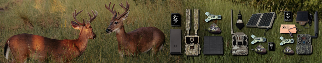 Trail Camera Bundles