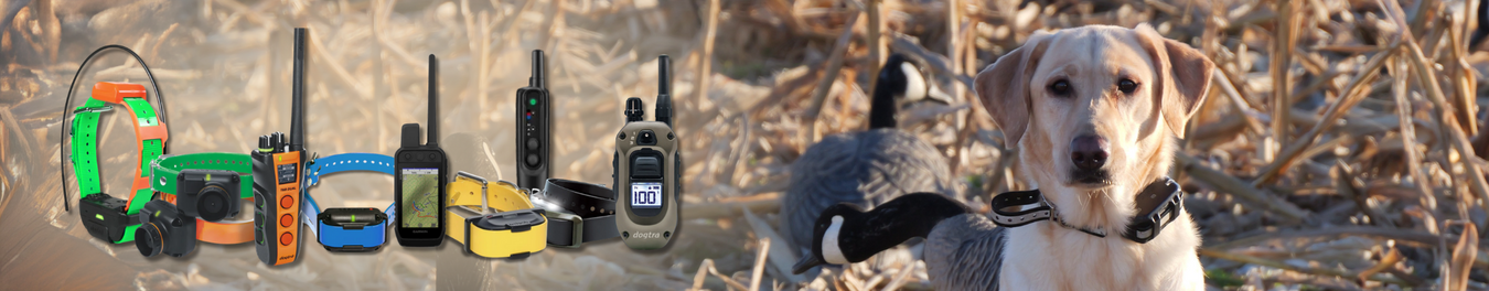 Remote Training Collars