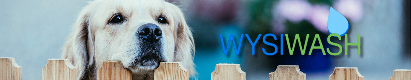 Wysiwash