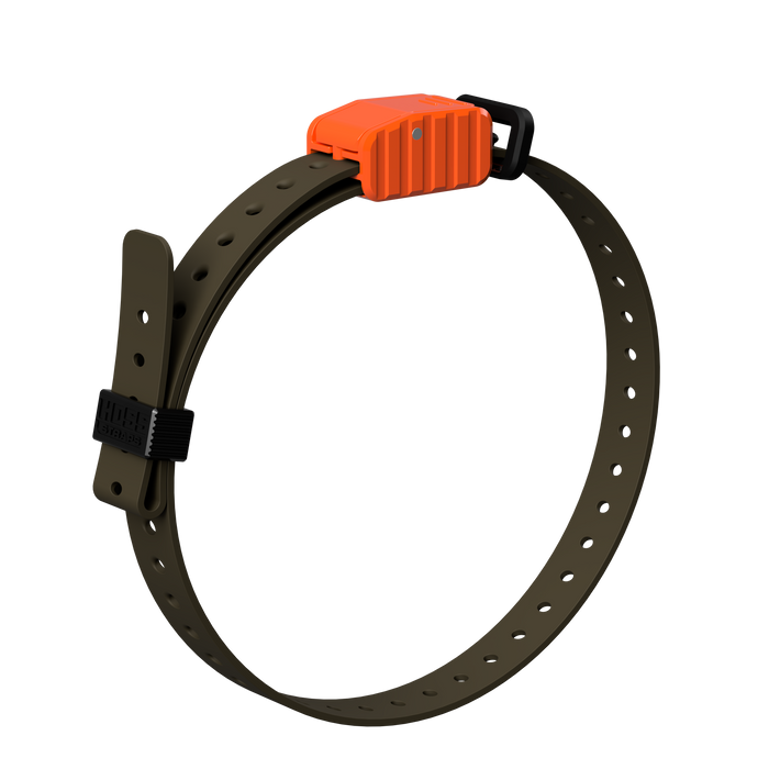 3/4" Replacement E-Collar Strap