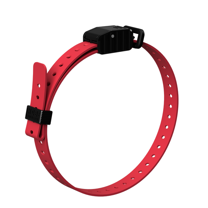3/4" Replacement E-Collar Strap