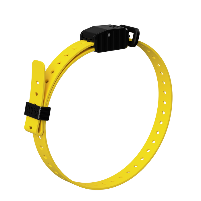 3/4" Replacement E-Collar Strap