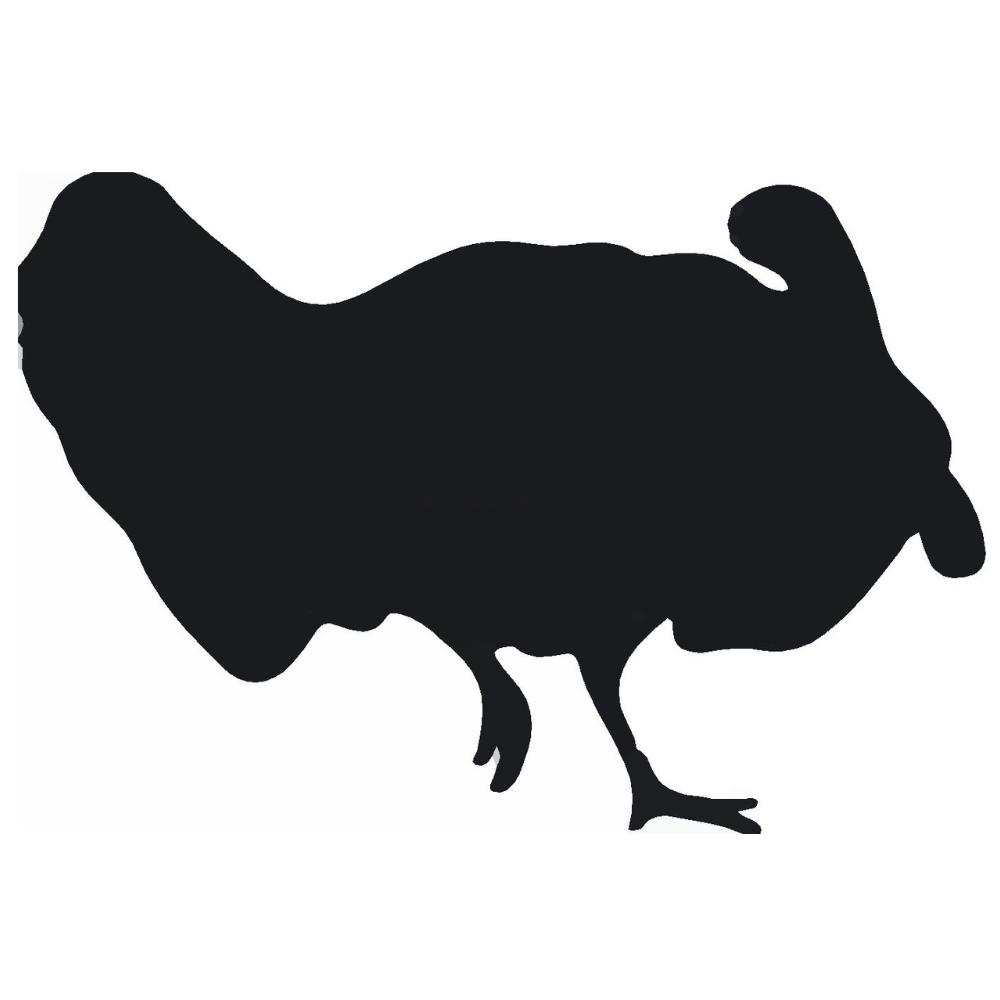 Tom Turkey Sticker - Turkey Strut Decal 7023 for Fall Decor