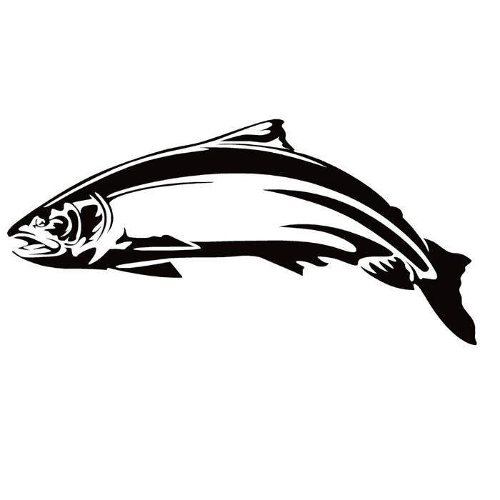 Steelhead Salmon Fishing Decal – Salmon Steelhead Fishing Sticker 7052