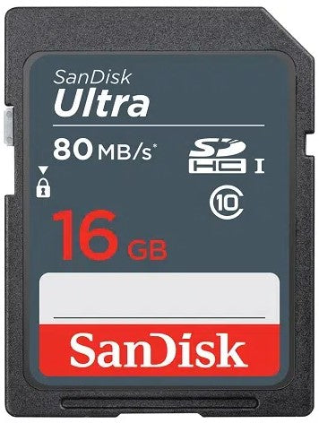 16 GB SD Card