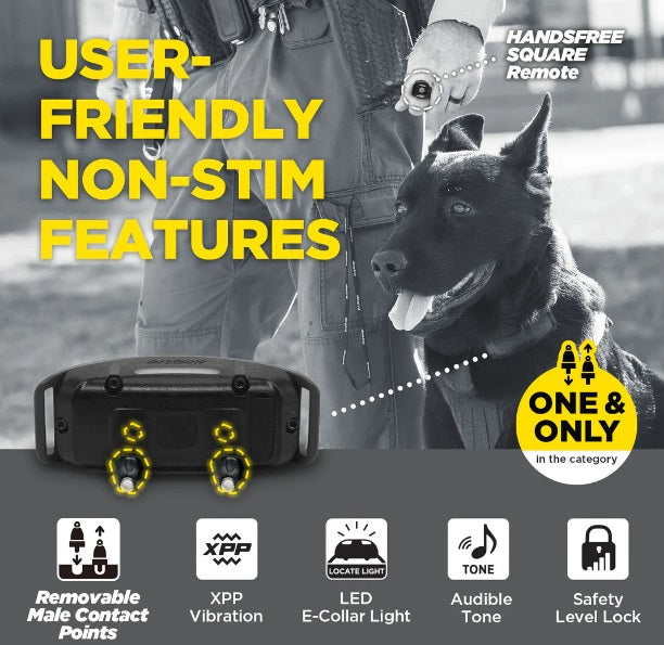 Dogtra 1900X Black Edition Collar - Ultimate Training Solution for Your Dog