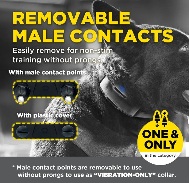 Dogtra 1900X Black Edition Collar - Ultimate Training Solution for Your Dog