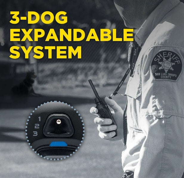 Dogtra 1900X Black Edition Collar - Ultimate Training Solution for Your Dog