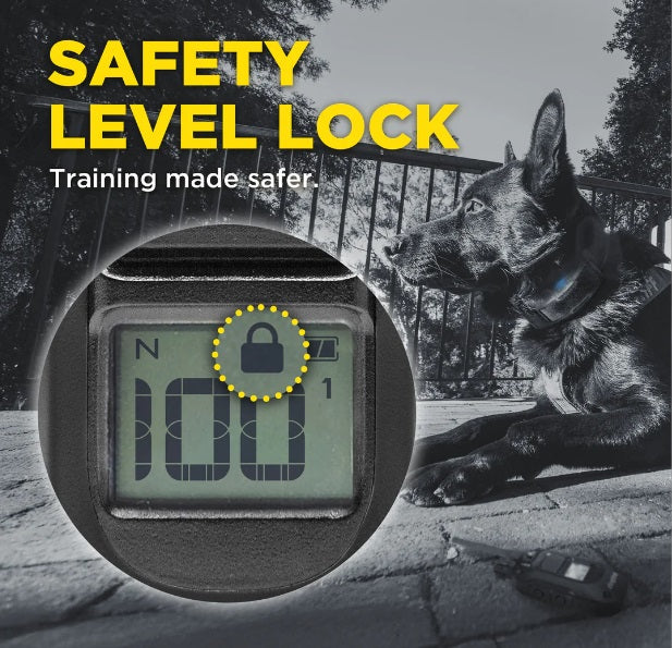 Dogtra 1900X Black Edition Collar - Ultimate Training Solution for Your Dog