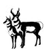 Pair of Pronghorns, Window Decal