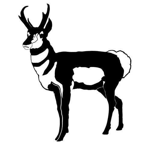 Pronghorn Buck Decal