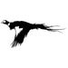 Pheasant in Flight Decal