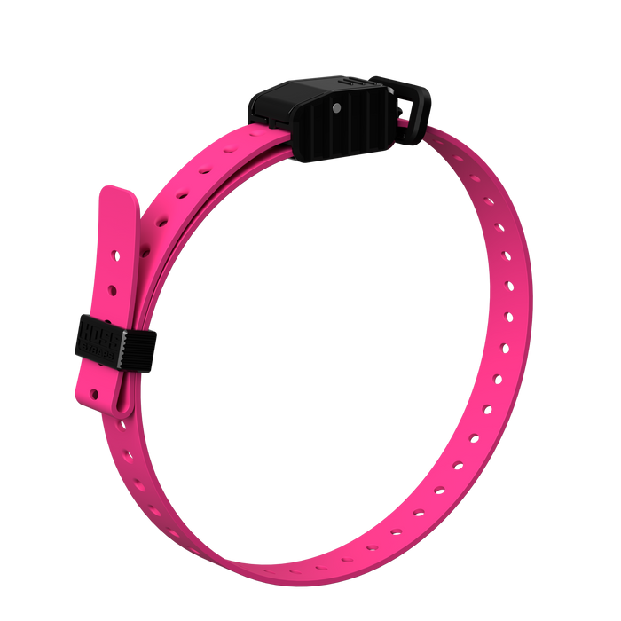 3/4" Replacement E-Collar Strap