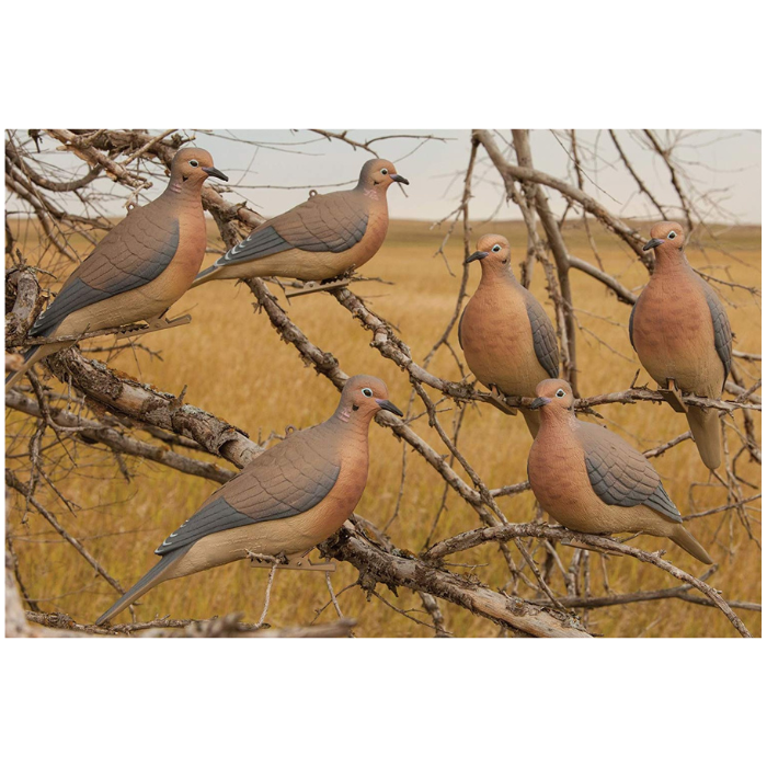 Avery GHG Mourning Dove Decoys - 6 Pack