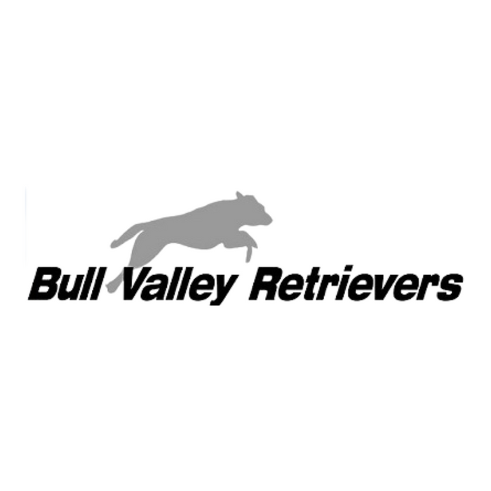 Bull Valley Retrievers 1-on-1 Training Session Package (5 Sessions)