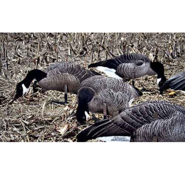 Real-Geese Pro Series II Canada Goose Decoys - Silhouette Goose Decoys