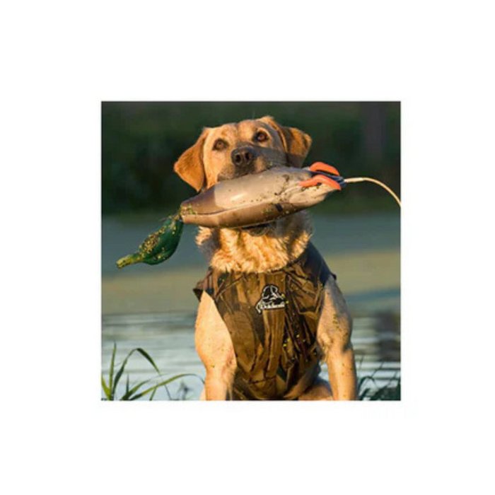 Dokken Dead Fowl Mallard Orange Duck Dummy - Dokken Mallard Orange Duck Trainer