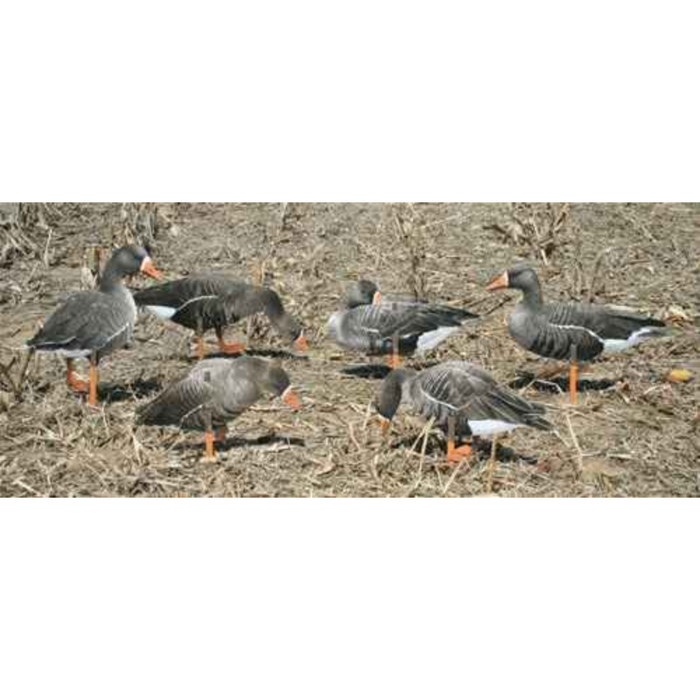 Real-Geese Pro Series Specklebelly Goose Decoys - Silhouette Specklebelly Decoys