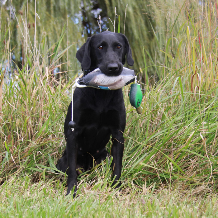 HuntEmUp Ultimate Dead Fowl Dummy - Duck Dog Training Dummy