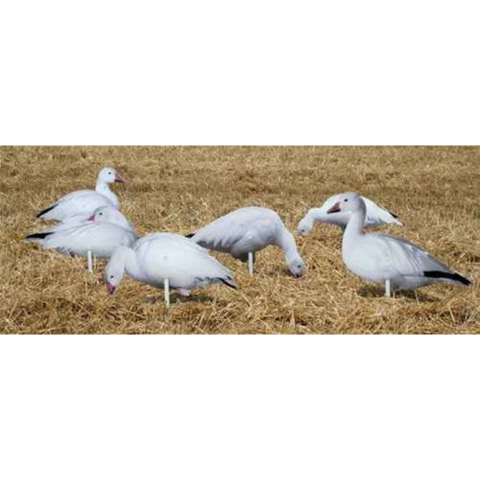 Real-Geese Pro Series II Snow Goose Decoys - Silhouette Snow Goose Decoys