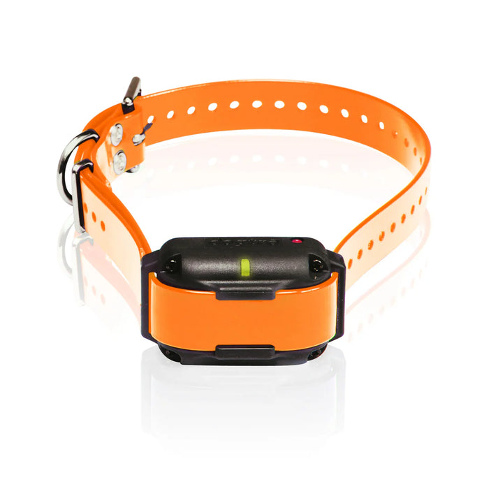 Dogtra Extra Collar/Receiver for Edge RT - Orange