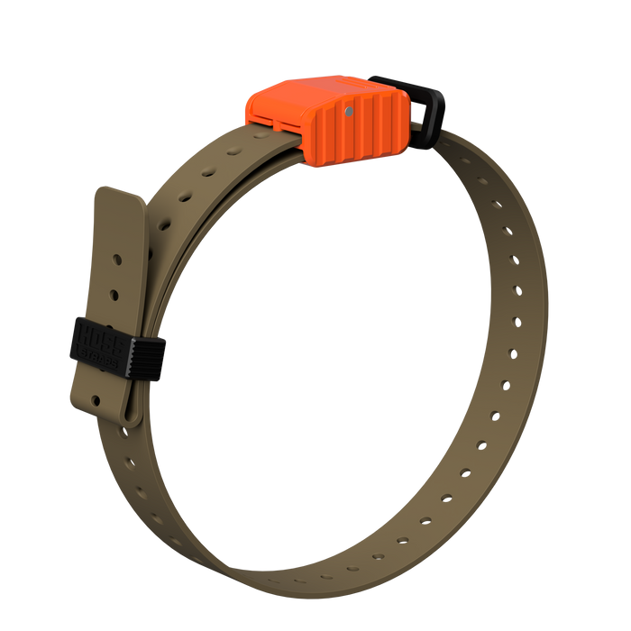 1" Replacement E-Collar Strap