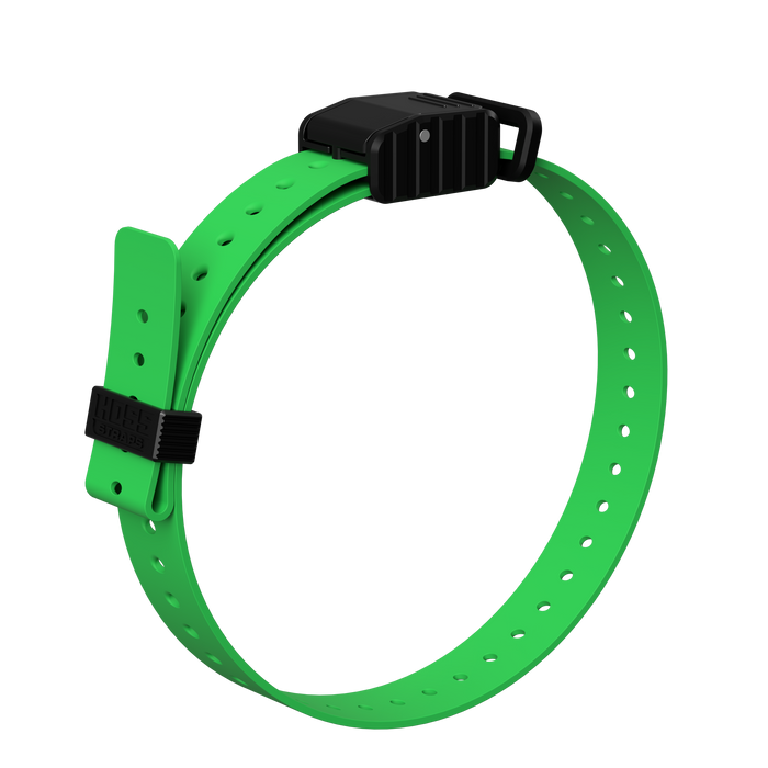 1" Replacement E-Collar Strap