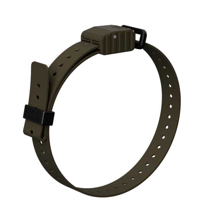 1" Replacement E-Collar Strap