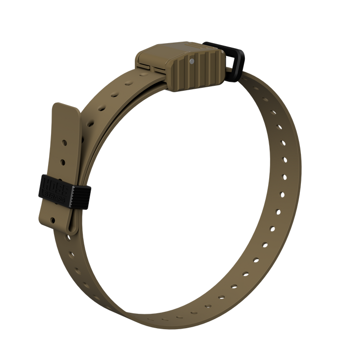 1" Replacement E-Collar Strap
