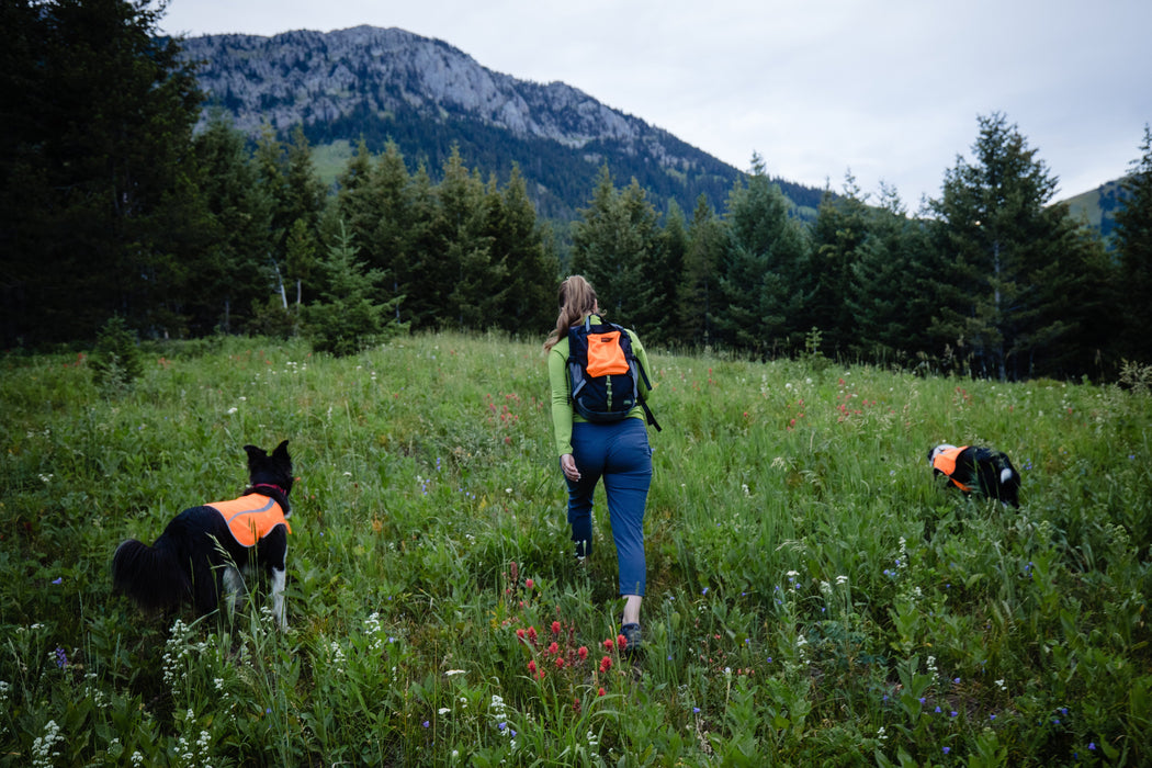 Orange Aglow Dog Safety Vest | Blaze Orange Reflective Dog Vest