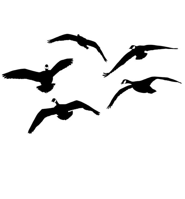 Canadian Geese, From the Side Decal