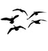 Canadian Geese, From the Side Decal