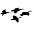 Canadian Geese From the Side Decal