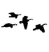 Canadian Geese From the Side Decal