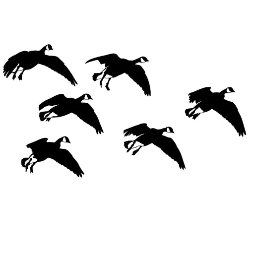 Geese, Feet Down Decal