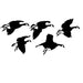 Canadian Geese, Feet Down, Side Decal