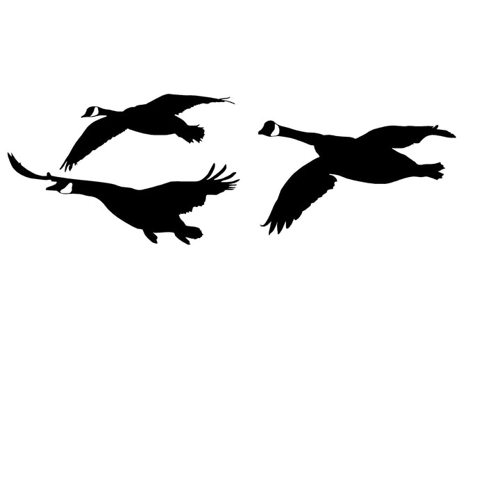 3 Honker's, Flyin' In Decal