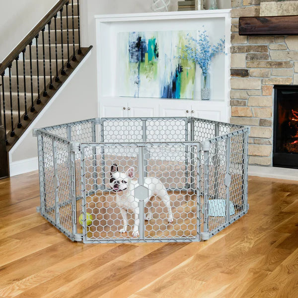 Carlson 2-IN-1 Plastic Gate and Pet Pen