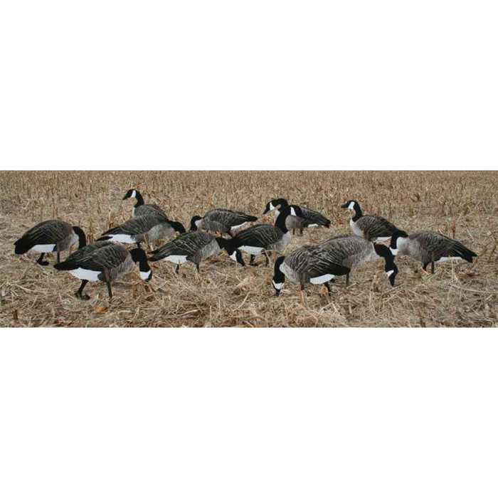 Real-Geese Pro Series Canada Goose Decoys - Silhouette Goose Decoys