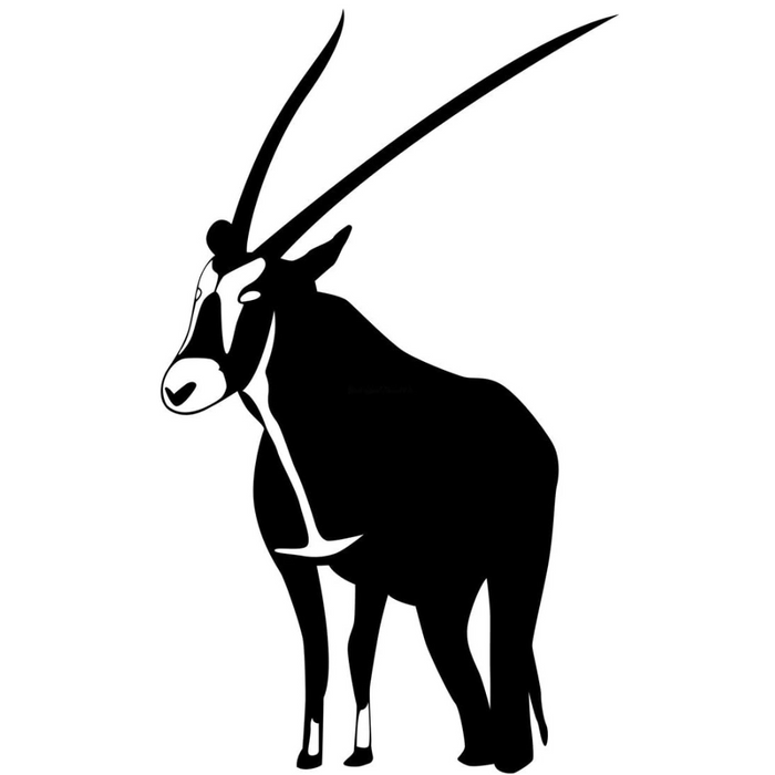 Gemsbok Trophy Decal – African Game Decal – 1231