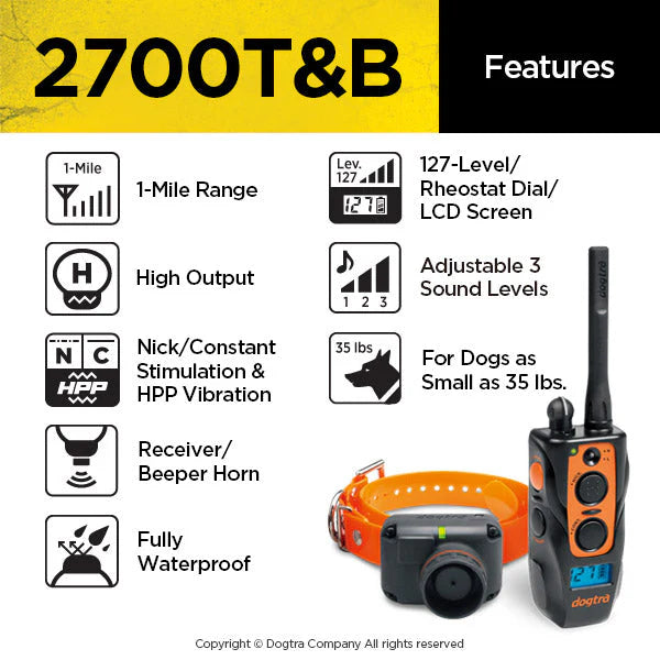 Dogtra System Dogtra Train and Beep System - Effective Dog Training Solution