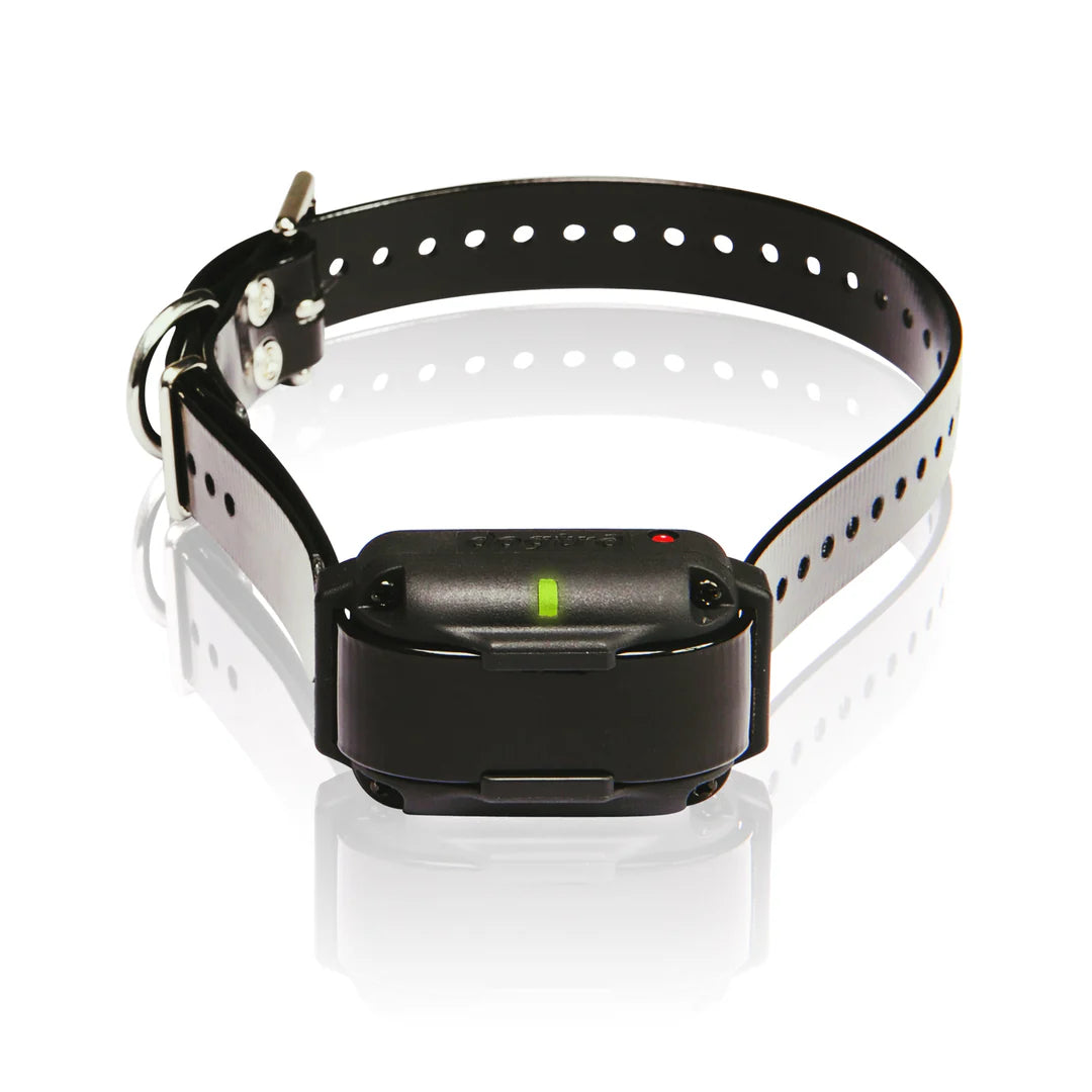 Dogtra Edge RT Extra Collar - Receiver for Edge RT in Black